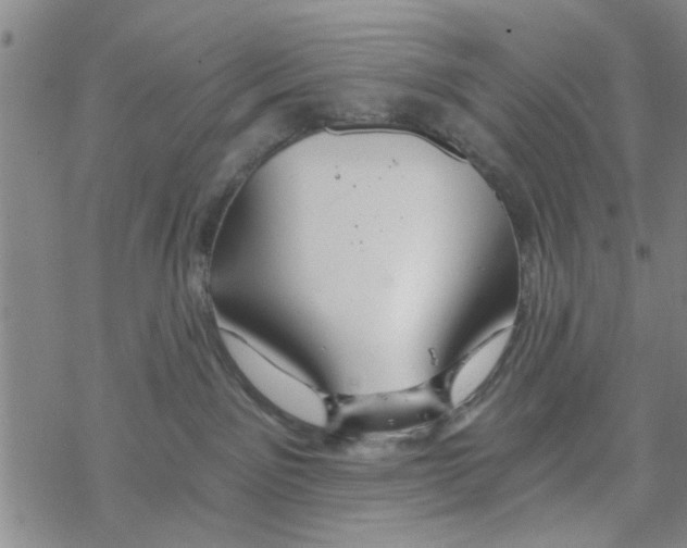 X0000068730141200605262035