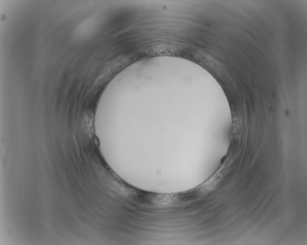 X0000068730142200605262035