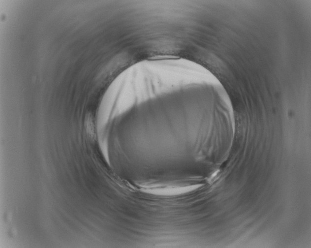 X0000068730143200605262035