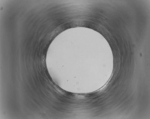 X0000068730144200605262035