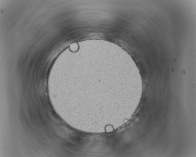 X0000068730146200605262034