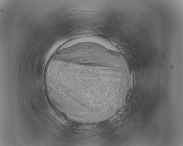 X0000068730147200605262034