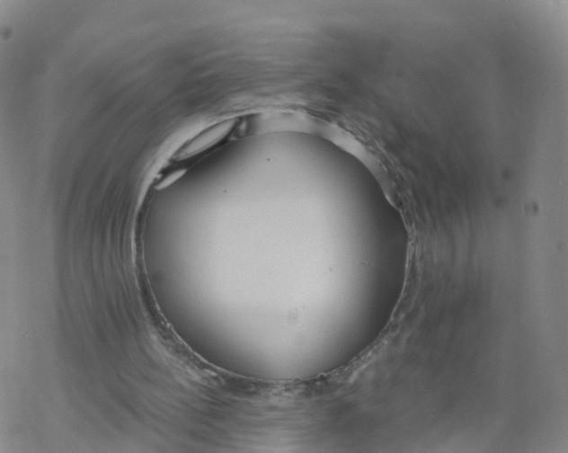 X0000068730148200605262034