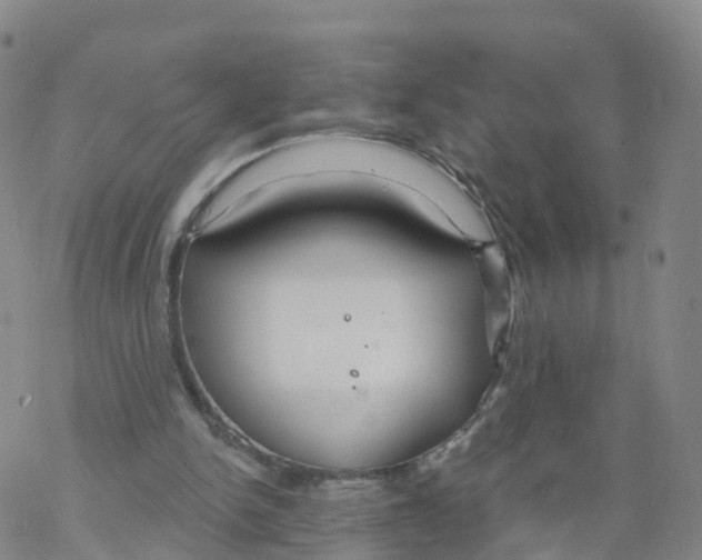 X0000068730150200605262034