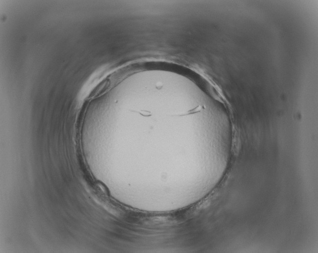 X0000068730151200605262034