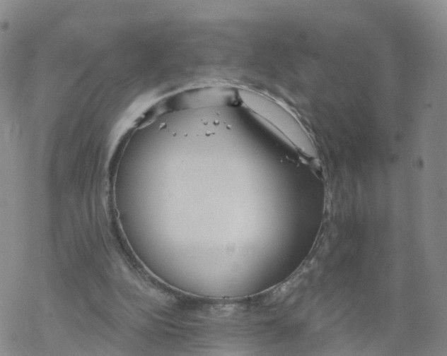 X0000068730152200605262034