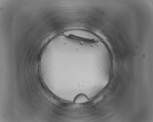 X0000068730153200605262034