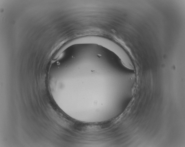 X0000068730154200605262034