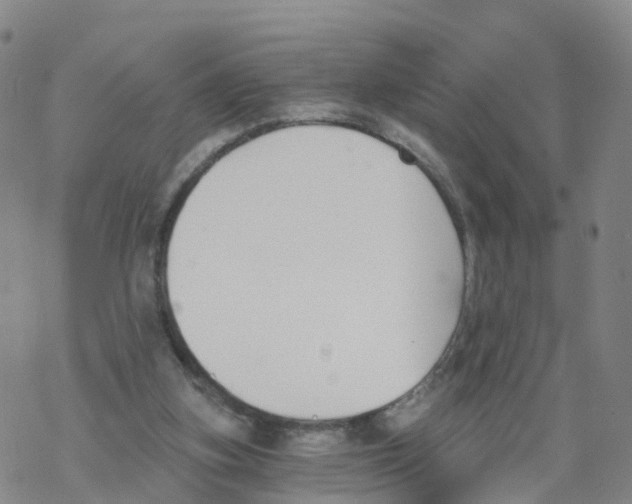 X0000068730155200605262034