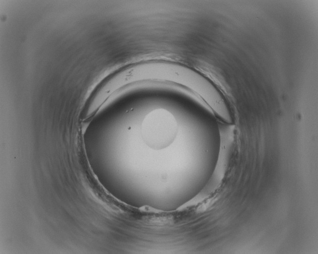 X0000068730156200605262034