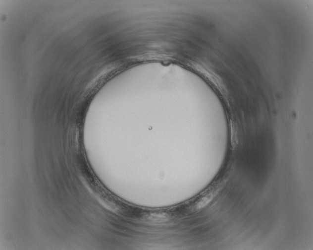 X0000068730157200605262034