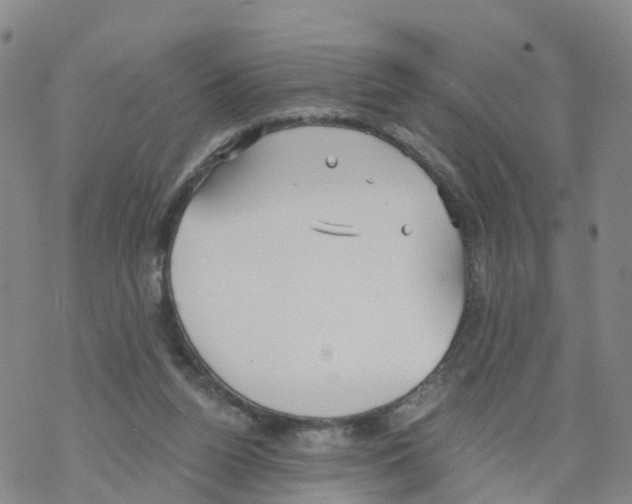 X0000068730160200605262034