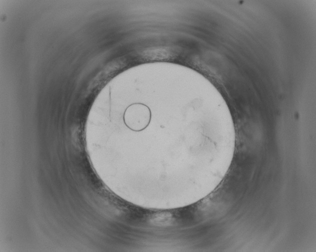 X0000068730162200605262034