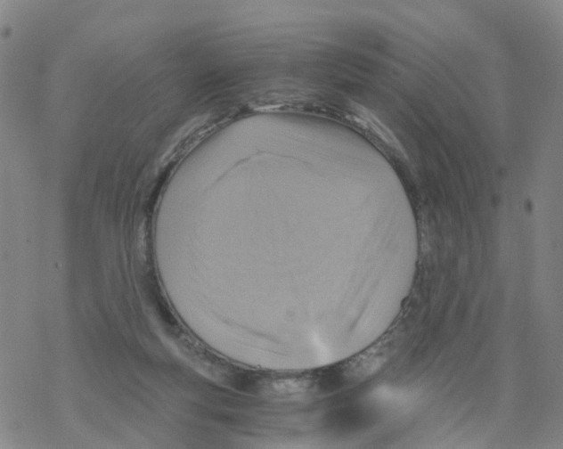 X0000068730163200605262034