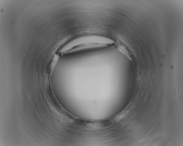 X0000068730164200605262034