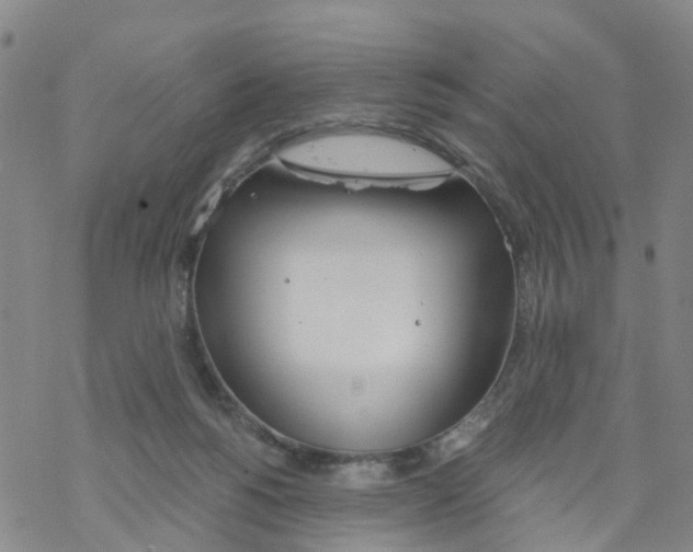 X0000068730168200605262035