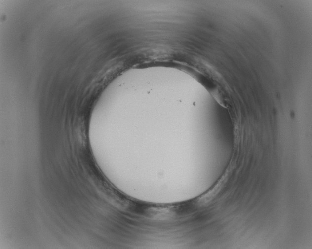 X0000068730170200605262035