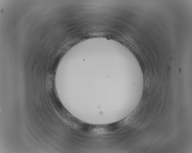 X0000068730171200605262035