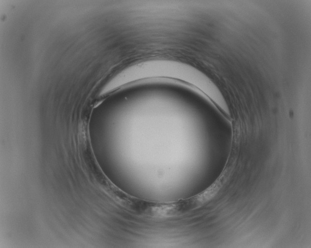 X0000068730172200605262035