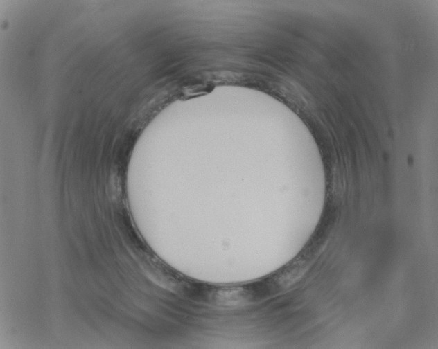 X0000068730173200605262035