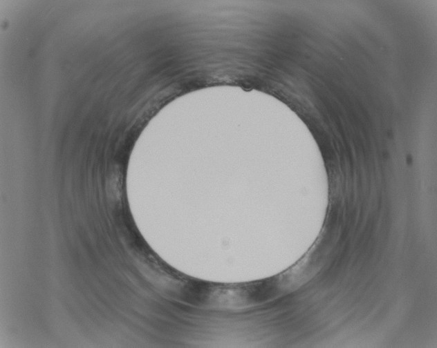 X0000068730174200605262035