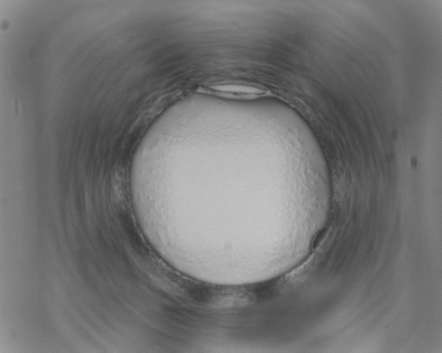 X0000068730175200605262035