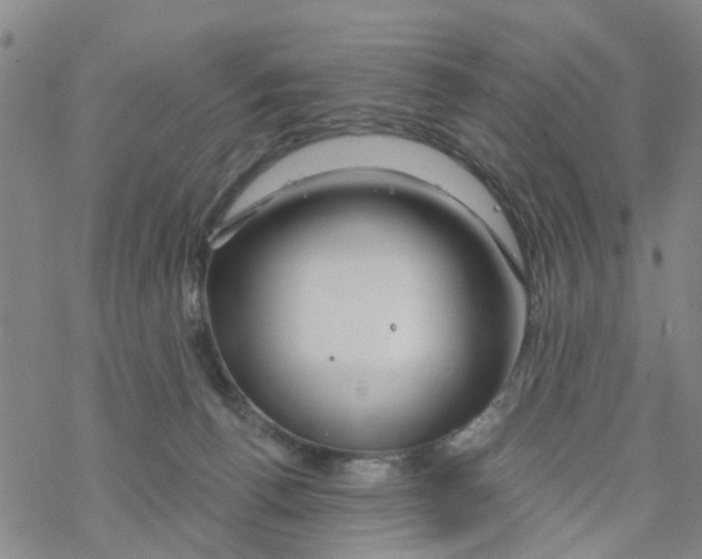 X0000068730176200605262035