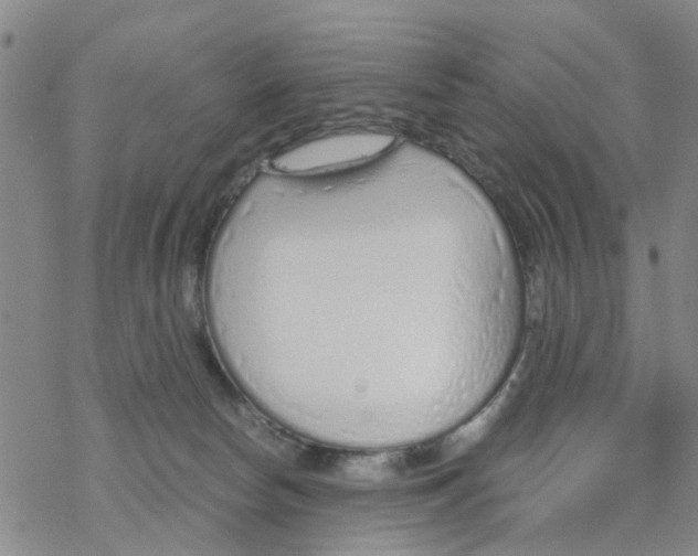 X0000068730178200605262035