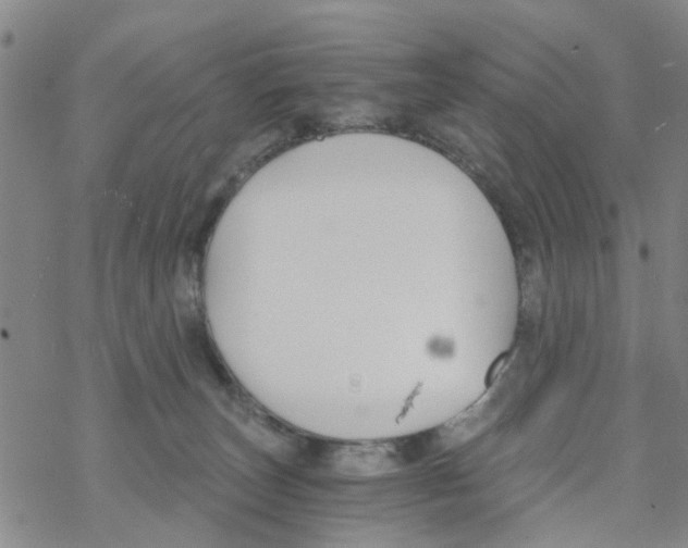 X0000068730179200605262035