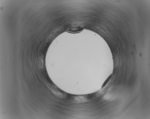 X0000068730183200605262035