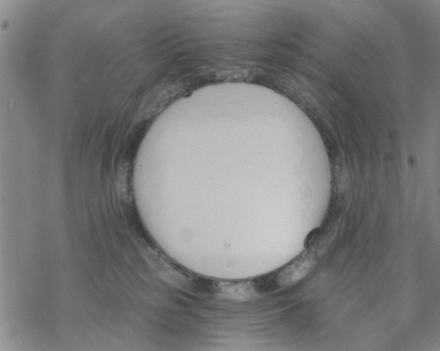 X0000068730185200605262035