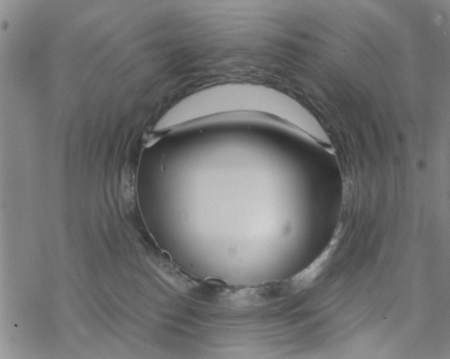 X0000068730186200605262035