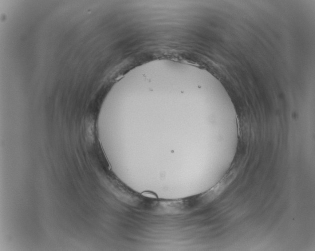 X0000068730188200605262035