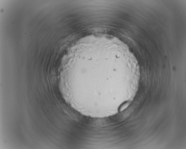 X0000068730189200605262035