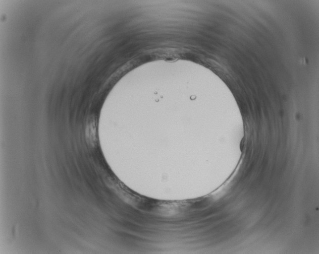 X0000068730190200605262035