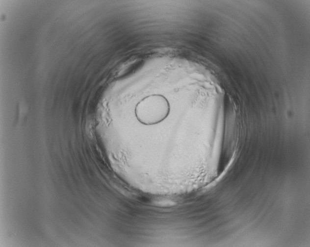 X0000068730191200605262035