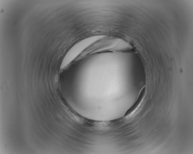 X0000068730192200605262035