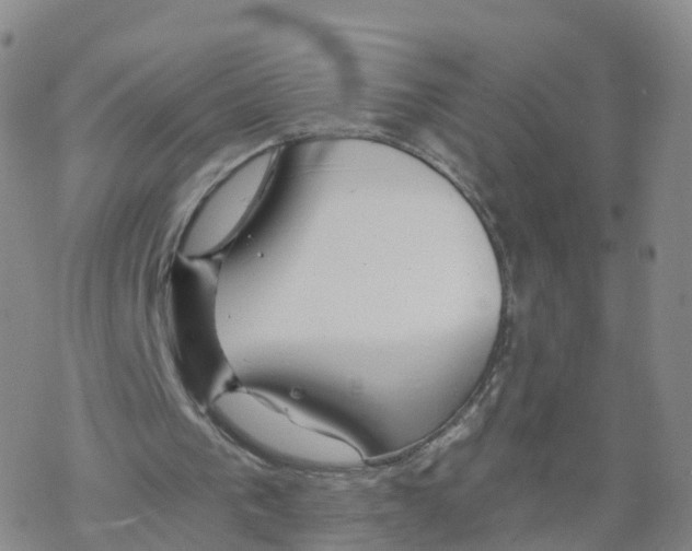 X0000068730193200605262034