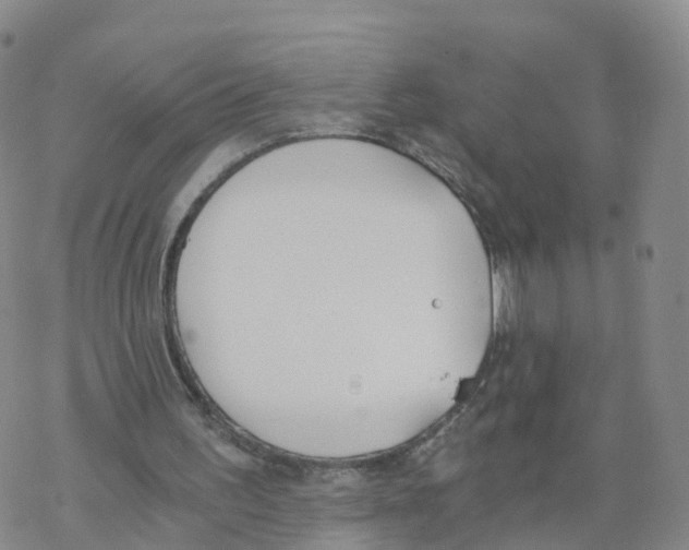 X0000068730195200605262034