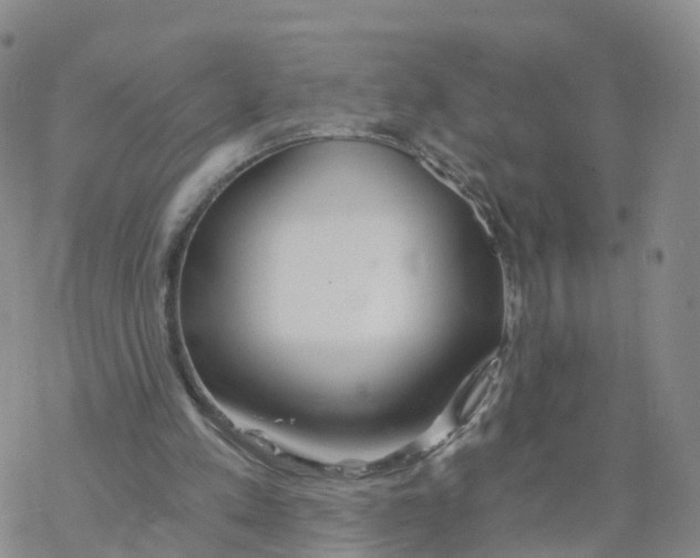 X0000068730197200605262034