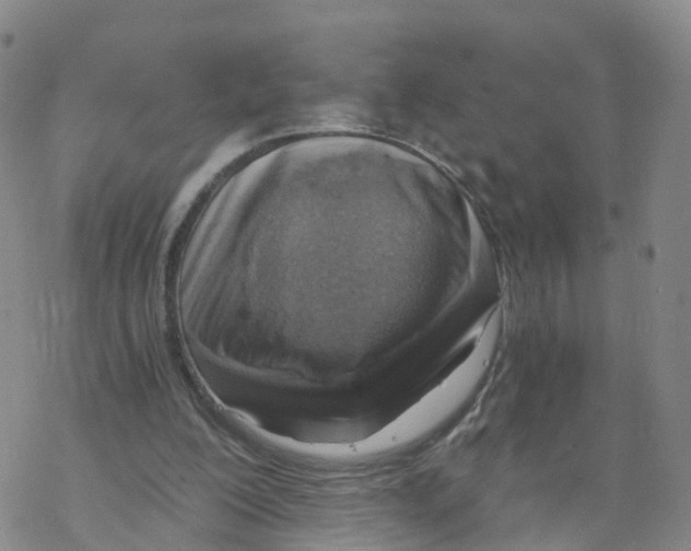 X0000068730200200605262034