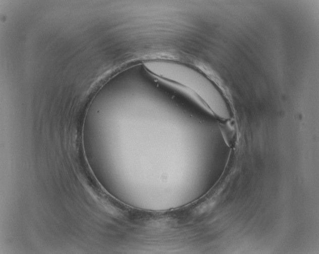 X0000068730201200605262034