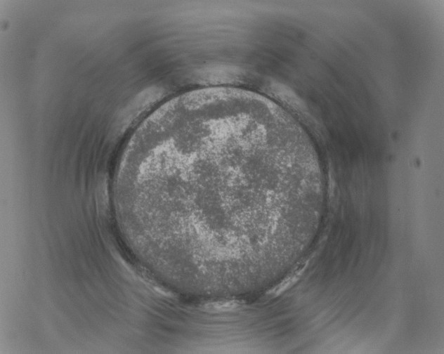 X0000068730202200605262034