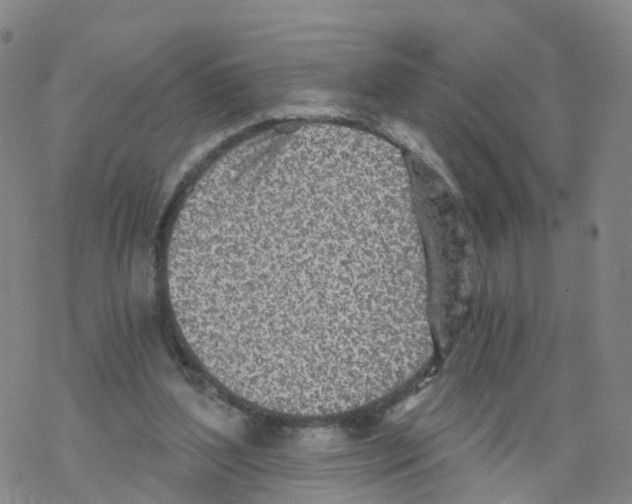 X0000068730204200605262034