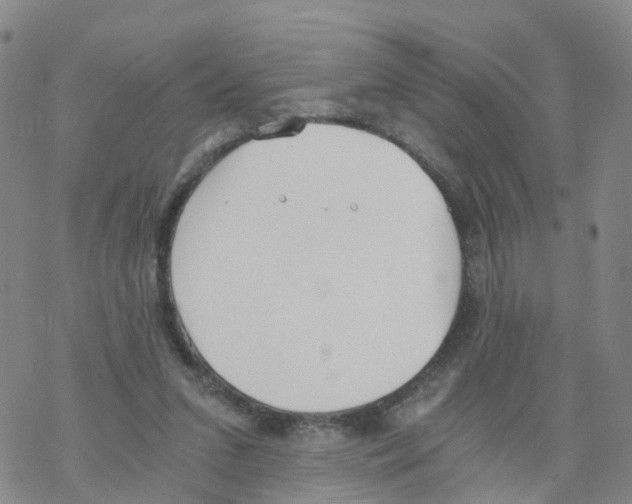 X0000068730207200605262034