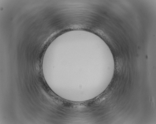 X0000068730208200605262034