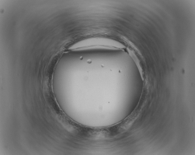 X0000068730209200605262034