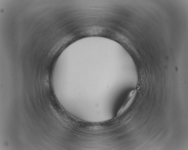 X0000068730212200605262034