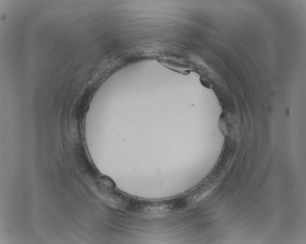 X0000068730213200605262034