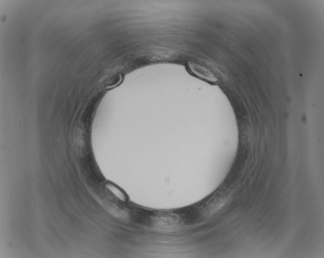 X0000068730215200605262034